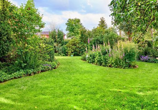 Okrasna drevesa: kako izbrati, posaditi in negovati za lep vrt skozi leto