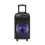 KARAOKE BLUETOOTH ZVOČNIK XPLORE XP8802 CABANA