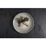 PLITVI KROŽNIK BONNA PATERA GOURMET 30CM 6 KOS