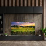 TELEVIZOR THOMSON 65QG5C14 QLED